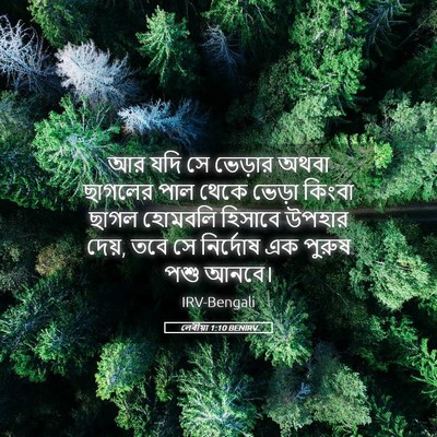 Picture 05 - লেবীয়া 1:10 BENIRV - আর যদি সে ভেড়ার - Bible Verse Picture