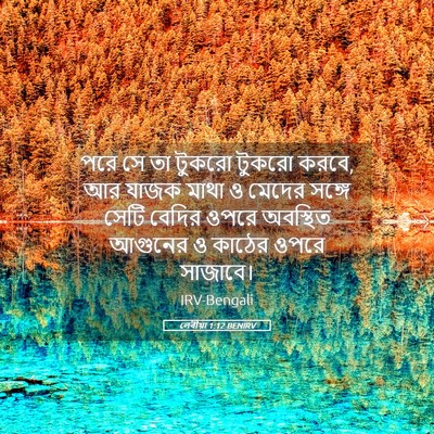 Picture 05 - লেবীয়া 1:12 BENIRV - পরে সে তা টুকরো - Bible Verse Picture