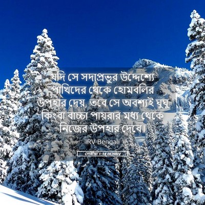Picture 05 - লেবীয়া 1:14 BENIRV - যদি সে সদাপ্রভুর - Bible Verse Picture