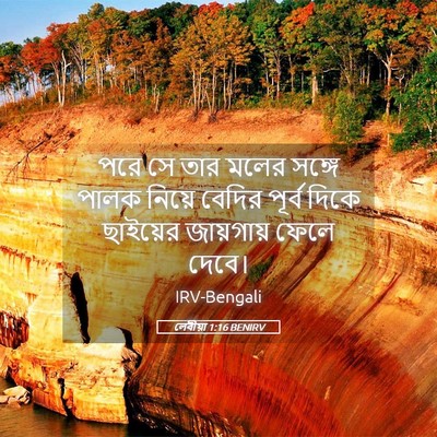 Picture 05 - লেবীয়া 1:16 BENIRV - পরে সে তার মলের - Bible Verse Picture
