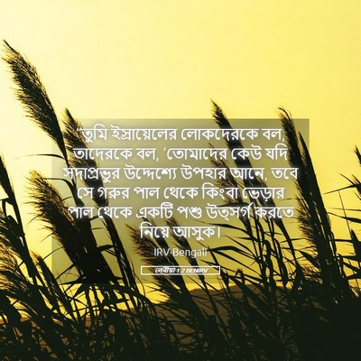 Picture 05 - লেবীয়া 1:2 BENIRV - “তুমি ইস্রায়েলের - Bible Verse Picture