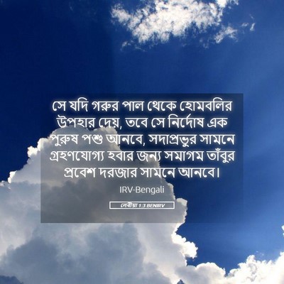 Picture 05 - লেবীয়া 1:3 BENIRV - সে যদি গরুর পাল - Bible Verse Picture