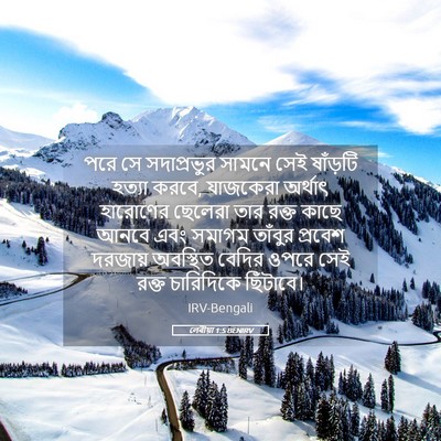 Picture 05 - লেবীয়া 1:5 BENIRV - পরে সে সদাপ্রভুর - Bible Verse Picture