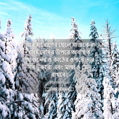 Picture 05 - লেবীয়া 1:8 BENIRV - আর হারোণের ছেলে - Bible Verse Picture