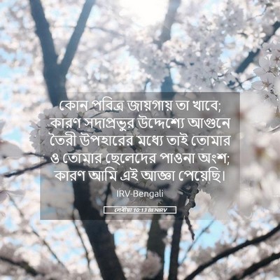 Picture 05 - লেবীয়া 10:13 BENIRV - কোন পবিত্র - Bible Verse Picture