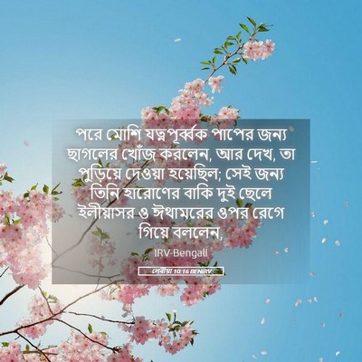 Picture 05 - লেবীয়া 10:16 BENIRV - পরে মোশি - Bible Verse Picture