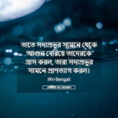 Picture 05 - লেবীয়া 10:2 BENIRV - তাতে সদাপ্রভুর - Bible Verse Picture