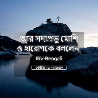 Picture 05 - লেবীয়া 11:1 BENIRV - আর সদাপ্রভু মোশি ও - Bible Verse Picture