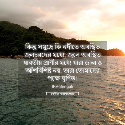 Picture 05 - লেবীয়া 11:10 BENIRV - কিন্তু সমুদ্রে কি - Bible Verse Picture