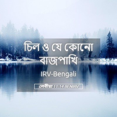 Picture 05 - লেবীয়া 11:14 BENIRV - চিল ও যে কোনো - Bible Verse Picture