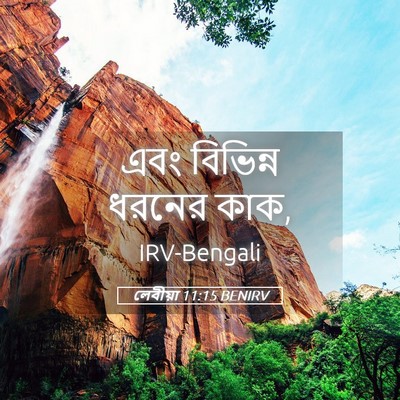 Picture 05 - লেবীয়া 11:15 BENIRV - এবং বিভিন্ন ধরনের - Bible Verse Picture