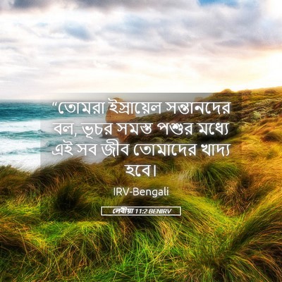 Picture 05 - লেবীয়া 11:2 BENIRV - “তোমরা ইস্রায়েল - Bible Verse Picture