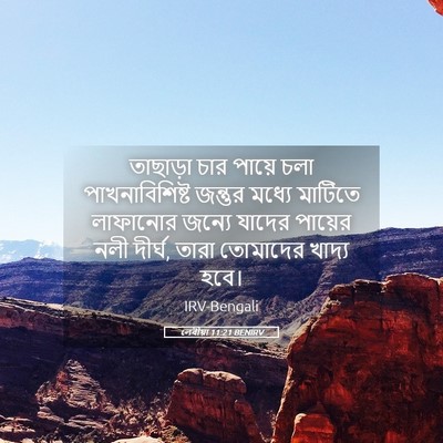 Picture 05 - লেবীয়া 11:21 BENIRV - তাছাড়া চার পায়ে - Bible Verse Picture