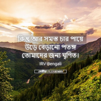 Picture 05 - লেবীয়া 11:23 BENIRV - কিন্তু আর সমস্ত - Bible Verse Picture