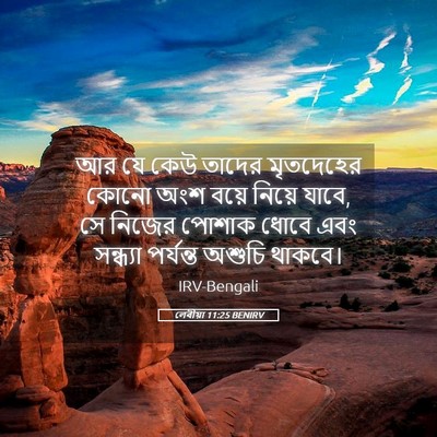 Picture 05 - লেবীয়া 11:25 BENIRV - আর যে কেউ তাদের - Bible Verse Picture