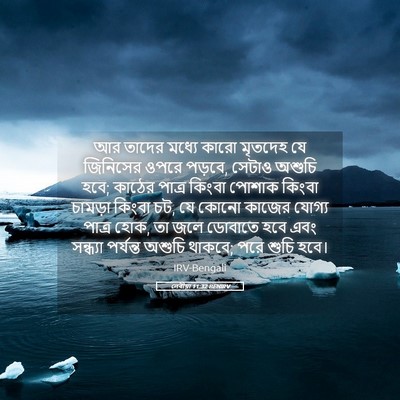 Picture 05 - লেবীয়া 11:32 BENIRV - আর তাদের মধ্যে - Bible Verse Picture