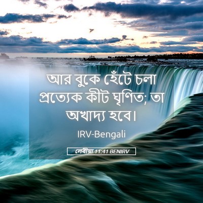 Picture 05 - লেবীয়া 11:41 BENIRV - আর বুকে হেঁটে চলা - Bible Verse Picture