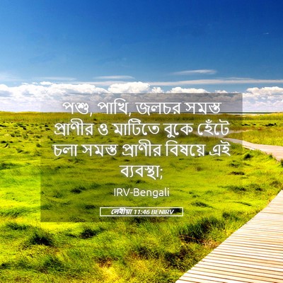 Picture 05 - লেবীয়া 11:46 BENIRV - পশু, পাখি, জলচর - Bible Verse Picture