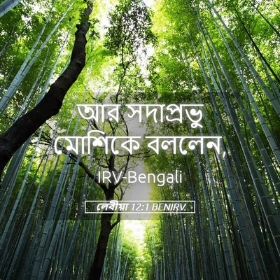 Picture 05 - লেবীয়া 12:1 BENIRV - আর সদাপ্রভু - Bible Verse Picture