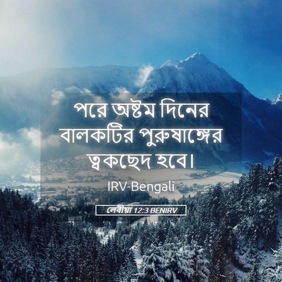 Picture 05 - লেবীয়া 12:3 BENIRV - পরে অষ্টম দিনের - Bible Verse Picture
