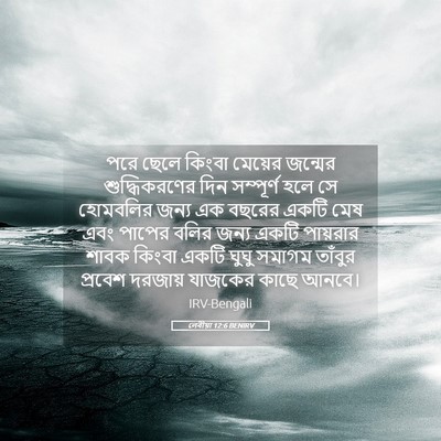 Picture 05 - লেবীয়া 12:6 BENIRV - পরে ছেলে কিংবা - Bible Verse Picture