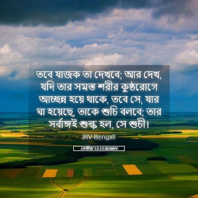 Picture 05 - লেবীয়া 13:13 BENIRV - তবে যাজক তা দেখবে; - Bible Verse Picture