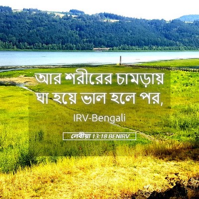 Picture 05 - লেবীয়া 13:18 BENIRV - আর শরীরের - Bible Verse Picture