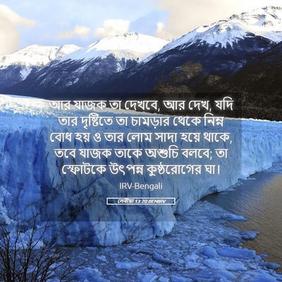 Picture 05 - লেবীয়া 13:20 BENIRV - আর যাজক তা দেখবে, - Bible Verse Picture