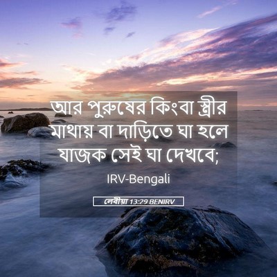 Picture 05 - লেবীয়া 13:29 BENIRV - আর পুরুষের কিংবা - Bible Verse Picture