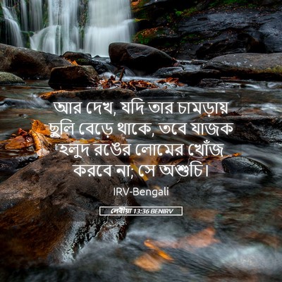 Picture 05 - লেবীয়া 13:36 BENIRV - আর দেখ, যদি তার - Bible Verse Picture