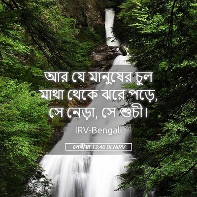 Picture 05 - লেবীয়া 13:40 BENIRV - আর যে মানুষের চুল - Bible Verse Picture