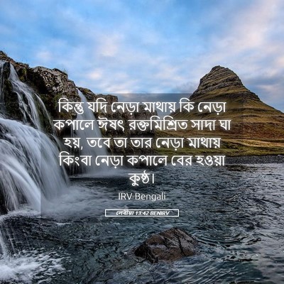 Picture 05 - লেবীয়া 13:42 BENIRV - কিন্তু যদি নেড়া - Bible Verse Picture