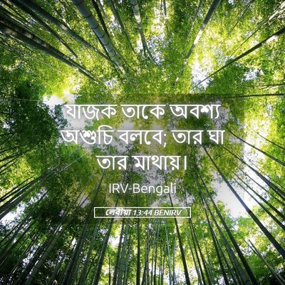 Picture 05 - লেবীয়া 13:44 BENIRV - যাজক তাকে অবশ্য - Bible Verse Picture