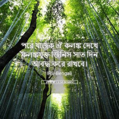 Picture 05 - লেবীয়া 13:50 BENIRV - পরে যাজক ঐ কলঙ্ক - Bible Verse Picture