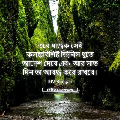 Picture 05 - লেবীয়া 13:54 BENIRV - তবে যাজক সেই - Bible Verse Picture