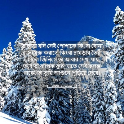 Picture 05 - লেবীয়া 13:57 BENIRV - তাছাড়া যদি সেই - Bible Verse Picture