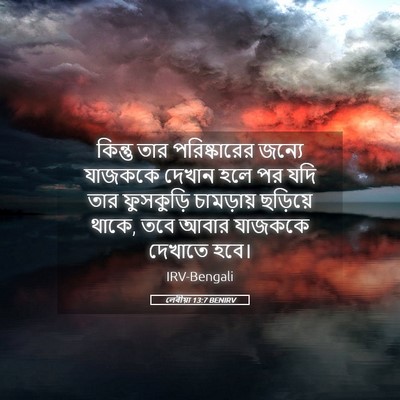 Picture 05 - লেবীয়া 13:7 BENIRV - কিন্তু তার - Bible Verse Picture
