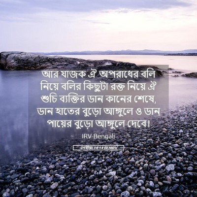 Picture 05 - লেবীয়া 14:14 BENIRV - আর যাজক ঐ অপরাধের - Bible Verse Picture