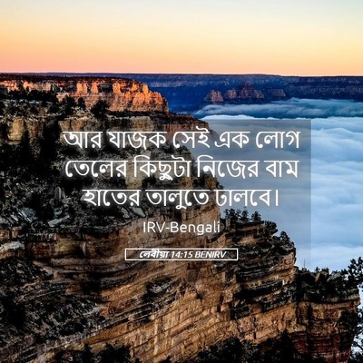 Picture 05 - লেবীয়া 14:15 BENIRV - আর যাজক সেই এক লোগ - Bible Verse Picture