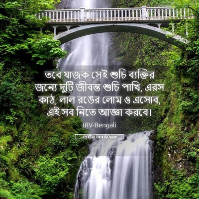 Picture 05 - লেবীয়া 14:4 BENIRV - তবে যাজক সেই শুচি - Bible Verse Picture