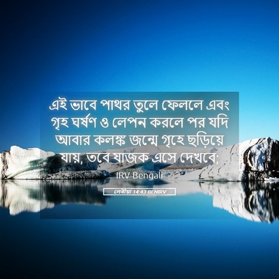 Picture 05 - লেবীয়া 14:43 BENIRV - এই ভাবে পাথর তুলে - Bible Verse Picture