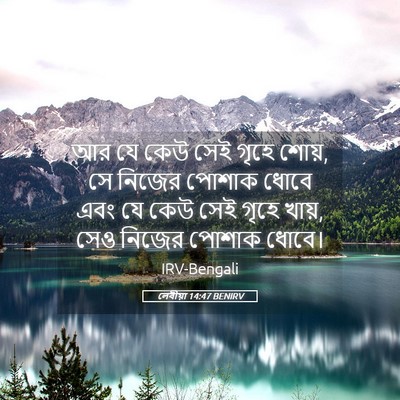 Picture 05 - লেবীয়া 14:47 BENIRV - আর যে কেউ সেই গৃহে - Bible Verse Picture