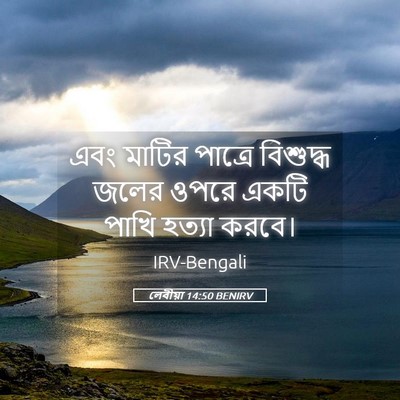 Picture 05 - লেবীয়া 14:50 BENIRV - এবং মাটির পাত্রে - Bible Verse Picture