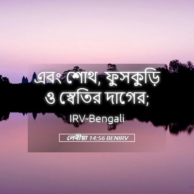 Picture 05 - লেবীয়া 14:56 BENIRV - এবং শোথ, ফুসকুড়ি ও - Bible Verse Picture