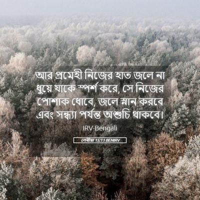 Picture 05 - লেবীয়া 15:11 BENIRV - আর প্রমেহী নিজের - Bible Verse Picture
