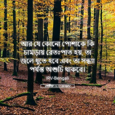 Picture 05 - লেবীয়া 15:17 BENIRV - আর যে কোনো পোশাকে - Bible Verse Picture