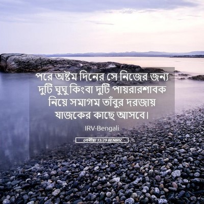 Picture 05 - লেবীয়া 15:29 BENIRV - পরে অষ্টম দিনের সে - Bible Verse Picture
