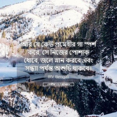 Picture 05 - লেবীয়া 15:7 BENIRV - আর যে কেউ প্রমেহীর - Bible Verse Picture
