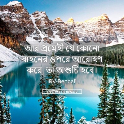 Picture 05 - লেবীয়া 15:9 BENIRV - আর প্রমেহী যে কোনো - Bible Verse Picture