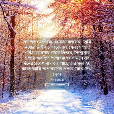 Picture 05 - লেবীয়া 16:2 BENIRV - সদাপ্রভু মোশিকে - Bible Verse Picture